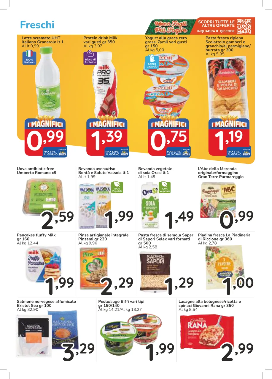 Pagina 12