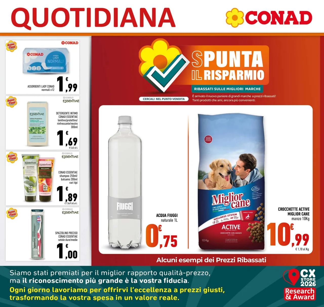 Pagina 17