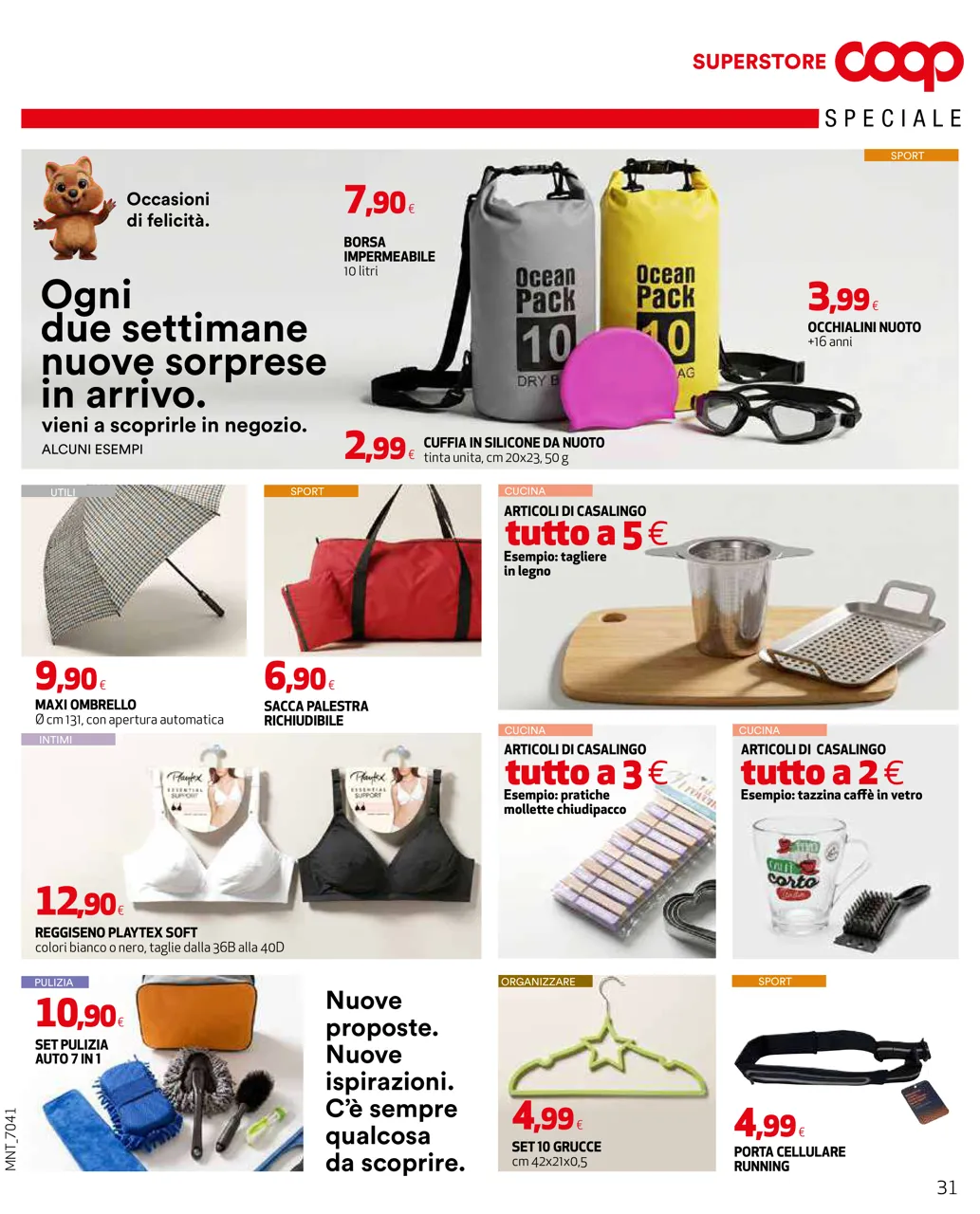 Pagina 31
