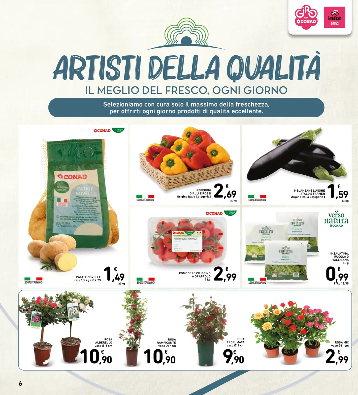 Pagina 6