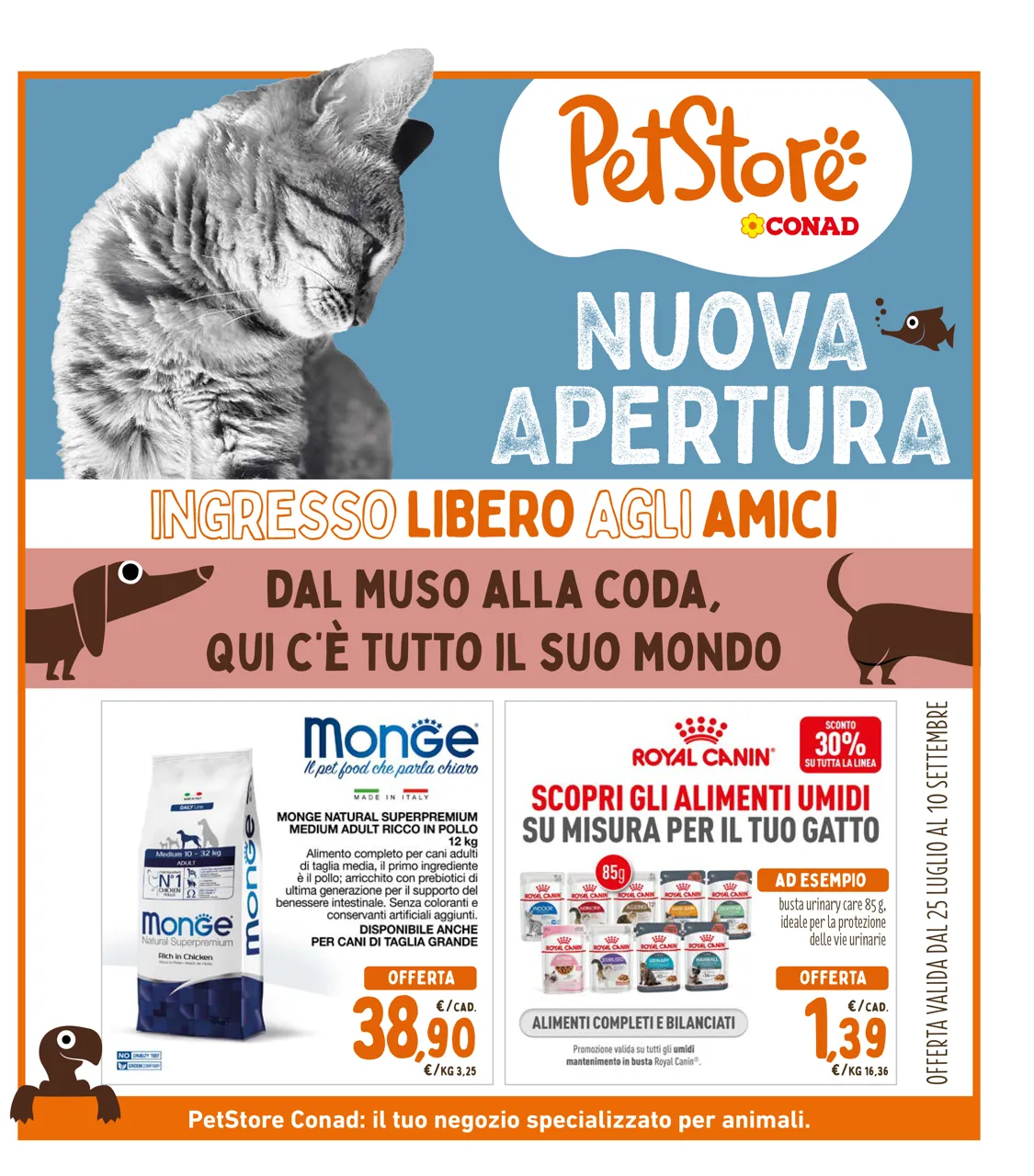 Pagina 35
