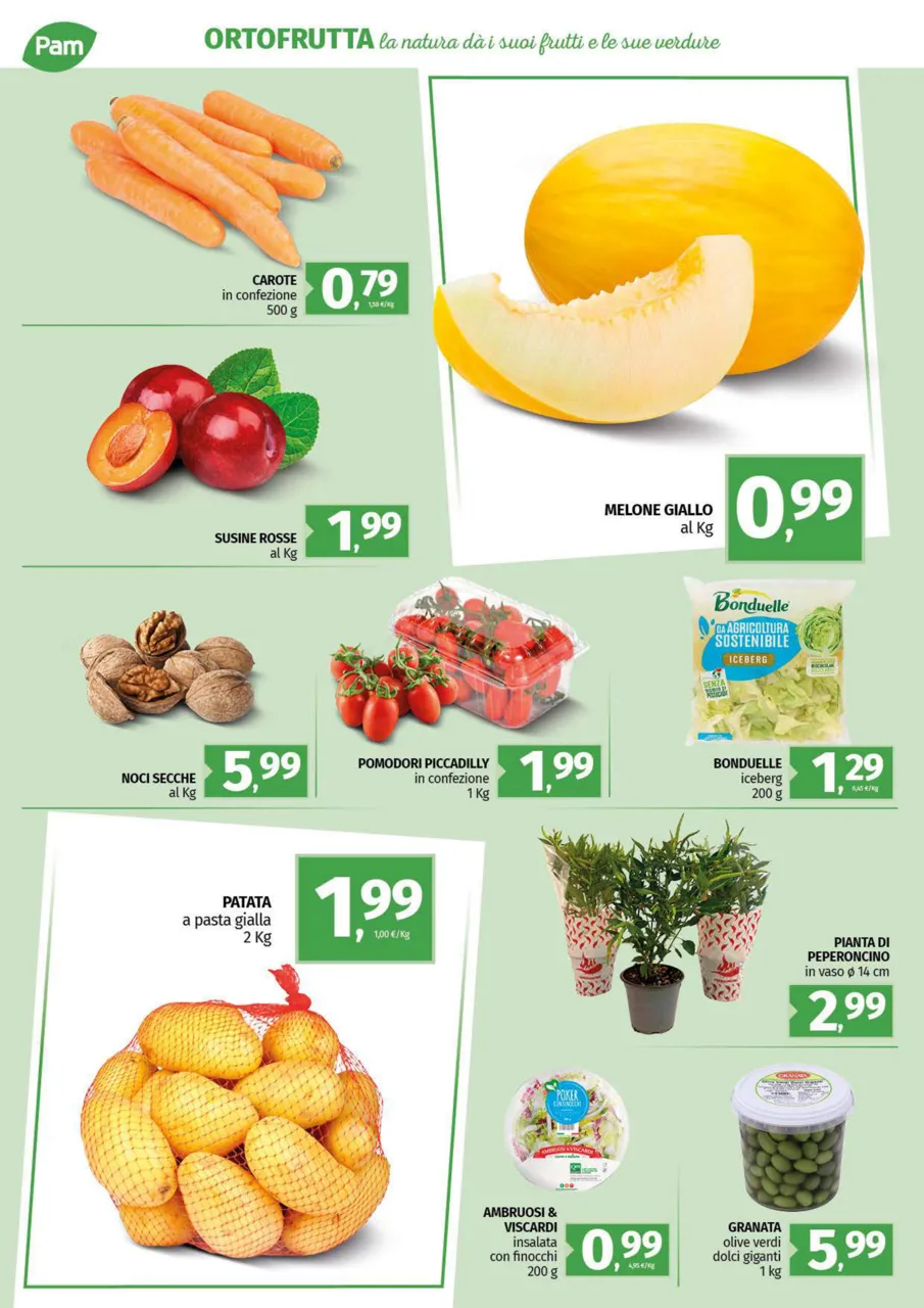 Pagina 10