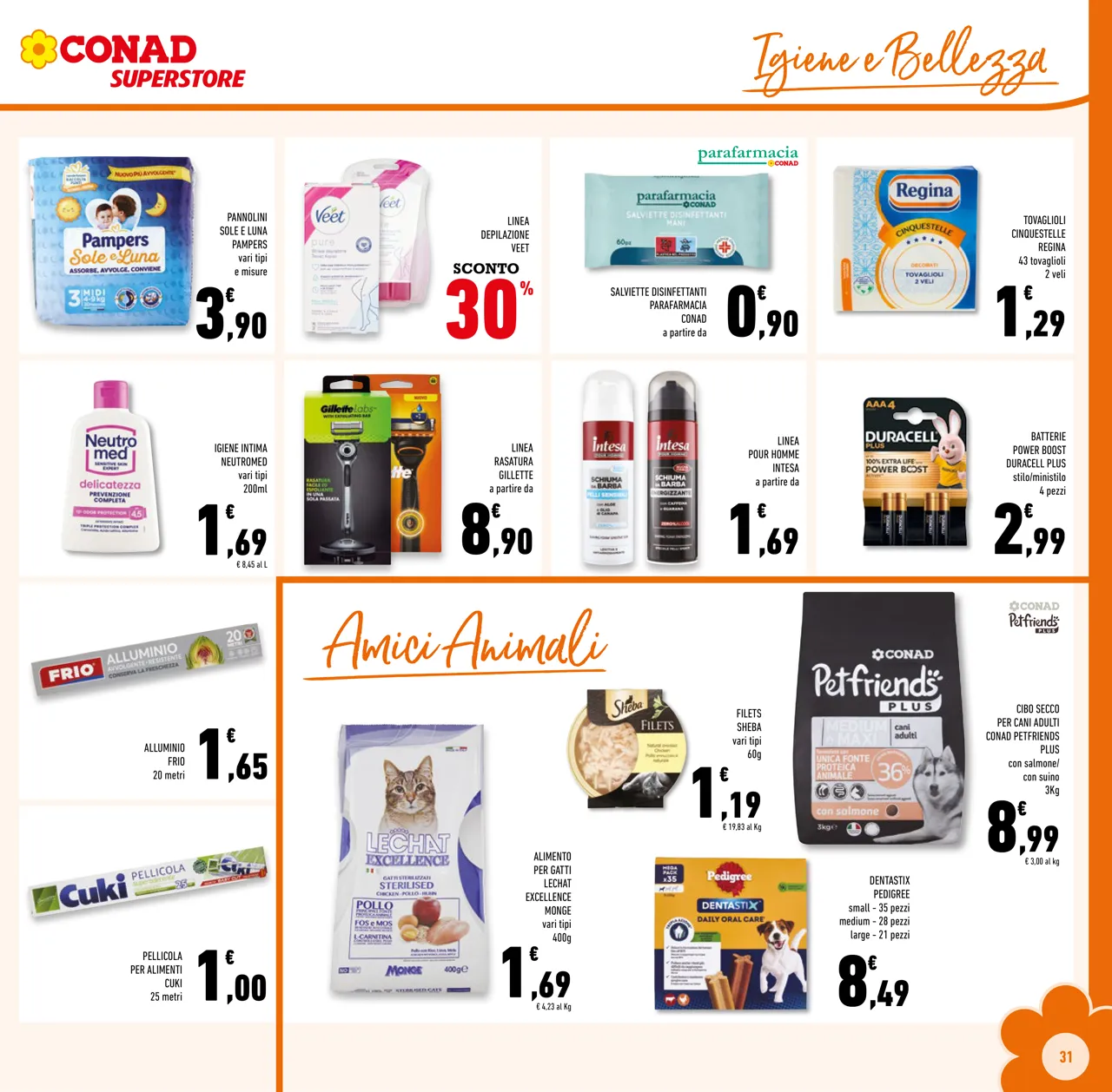Pagina 31