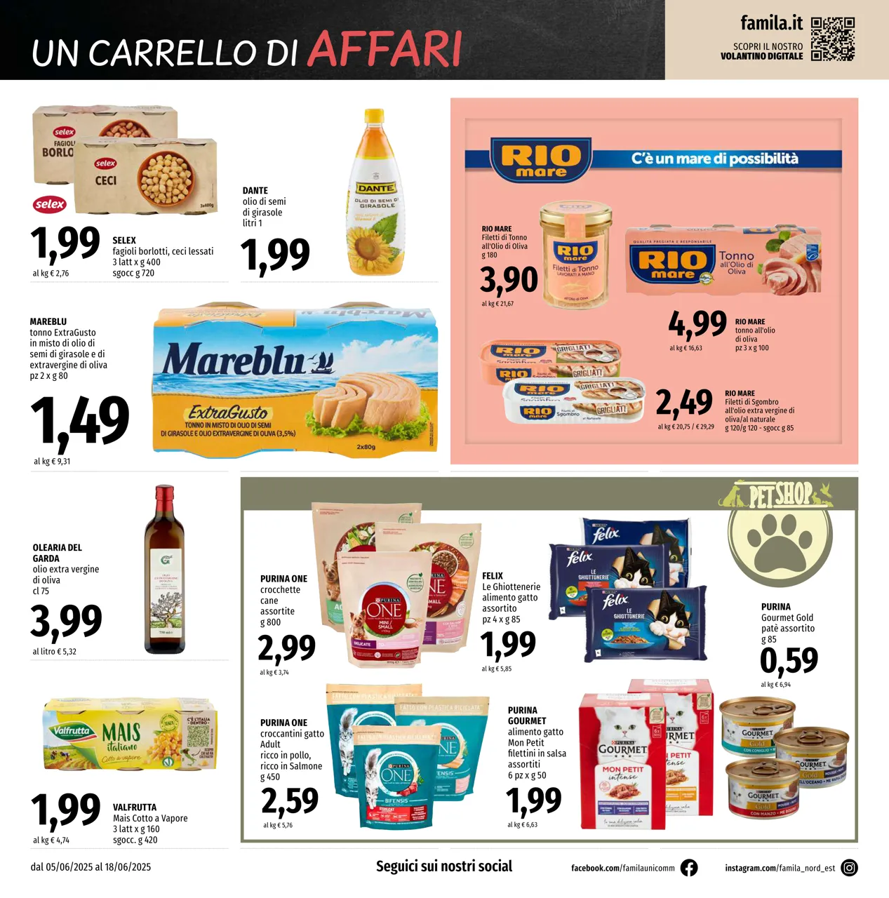 Pagina 12