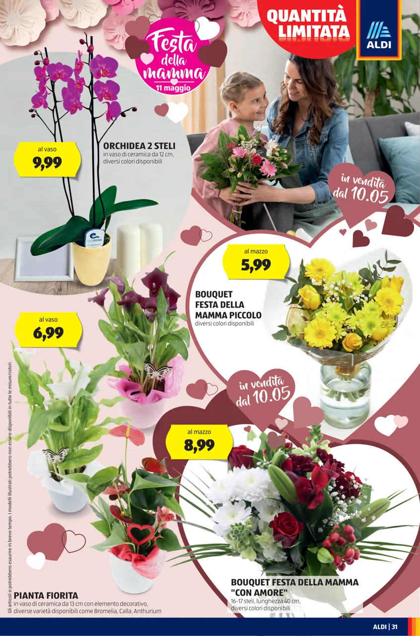 Pagina 31