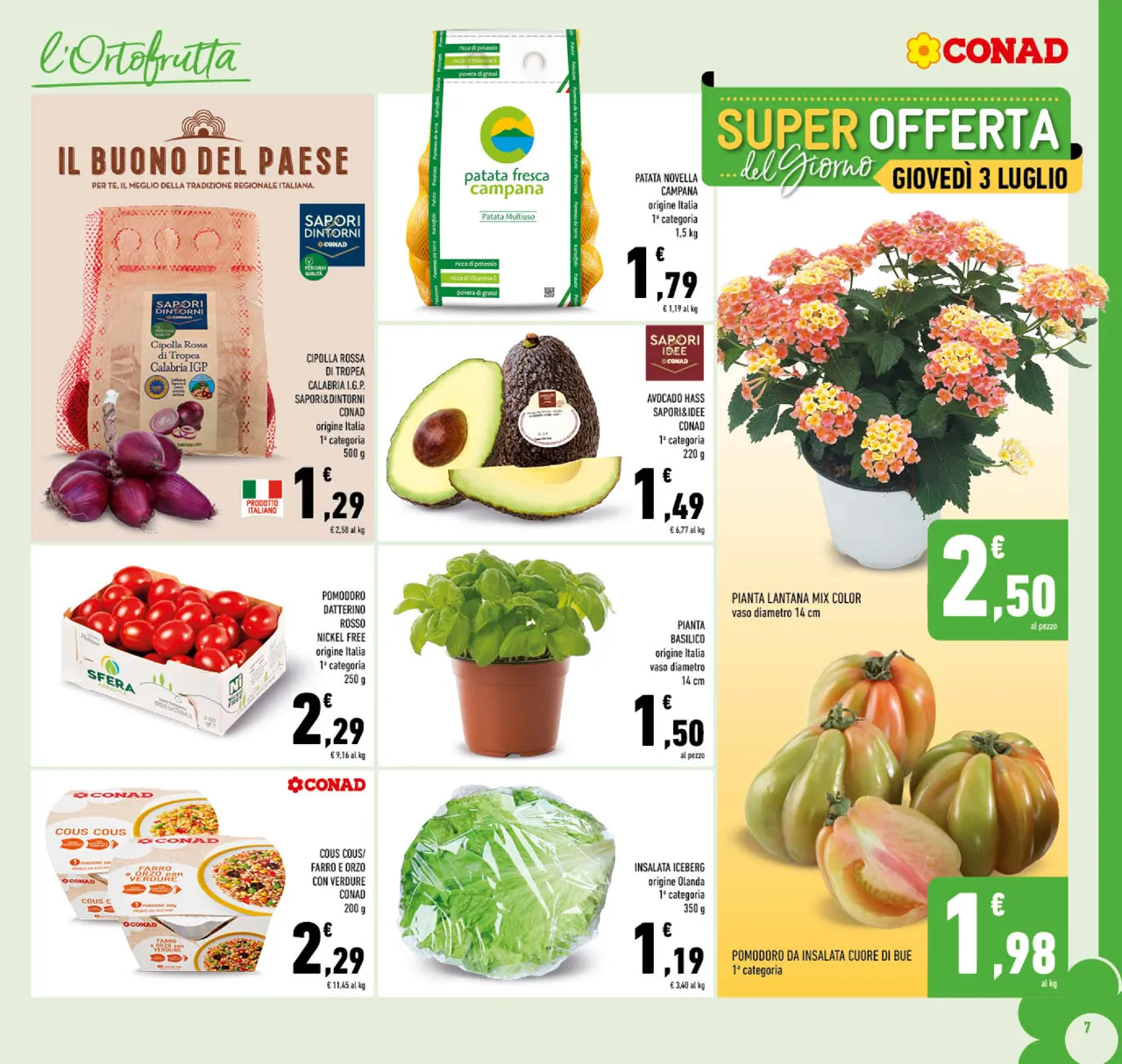 Pagina 7