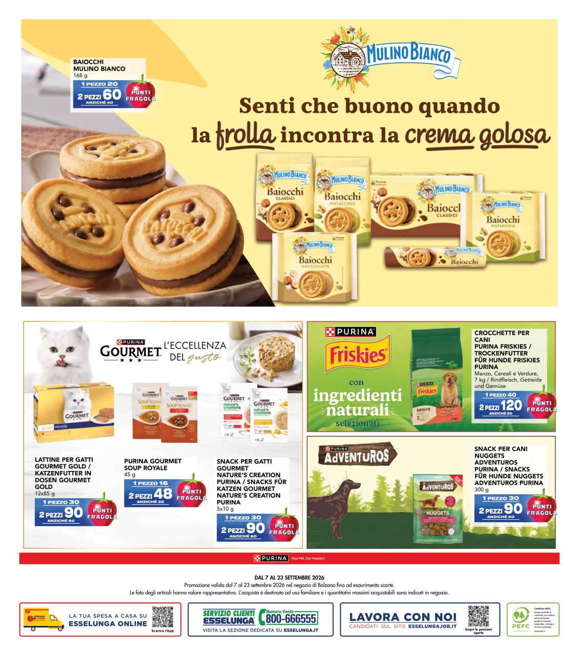 Pagina 12