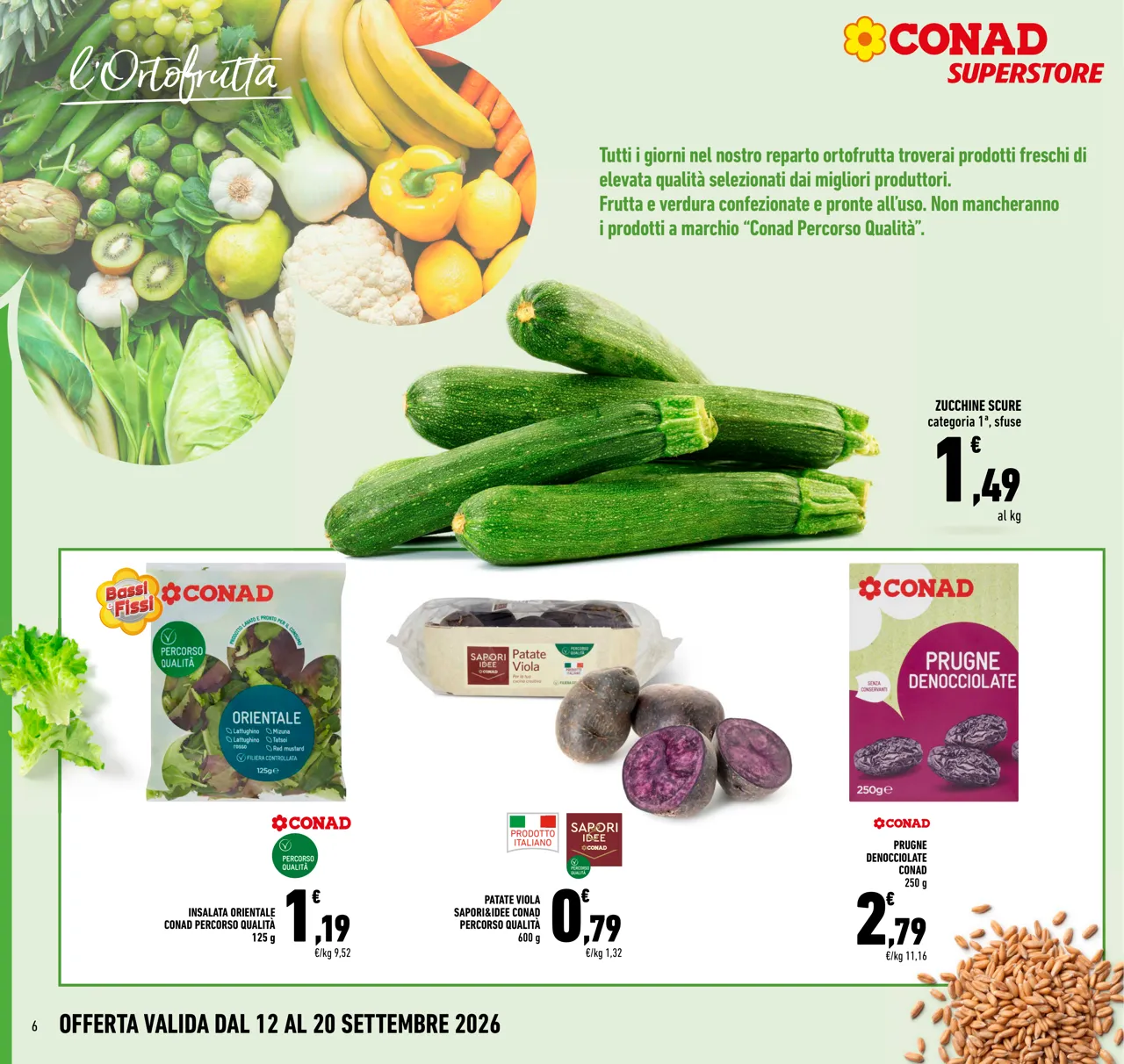 Pagina 6
