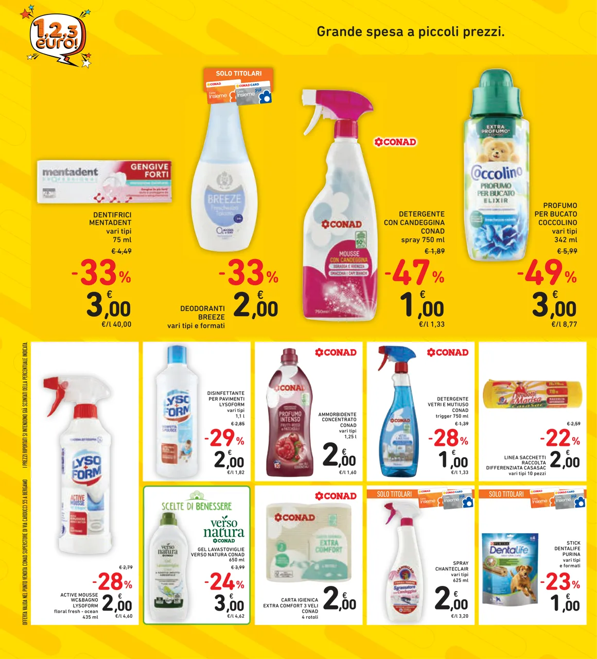 Pagina 8