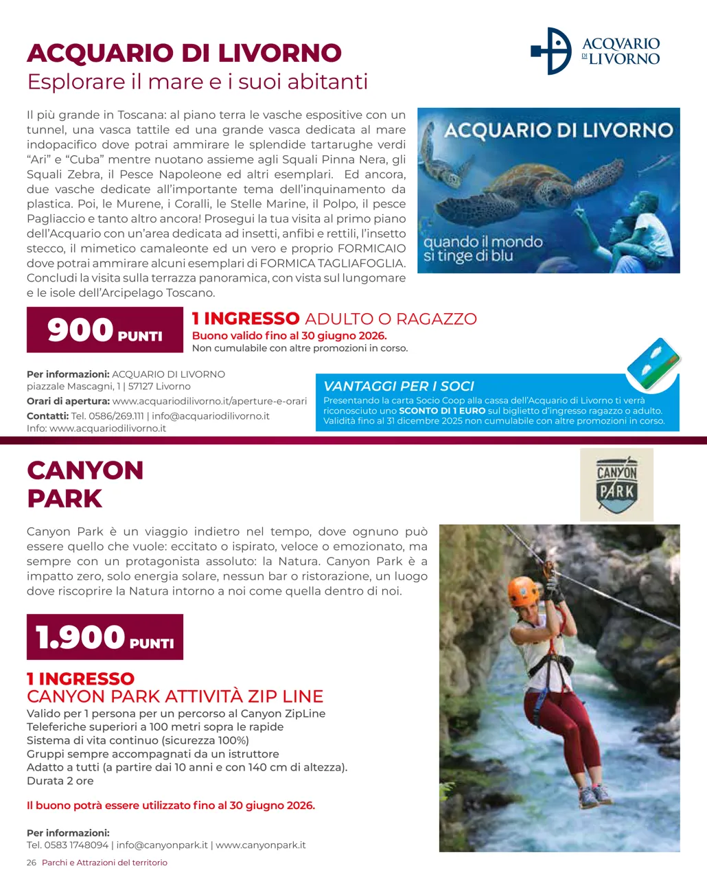 Pagina 26