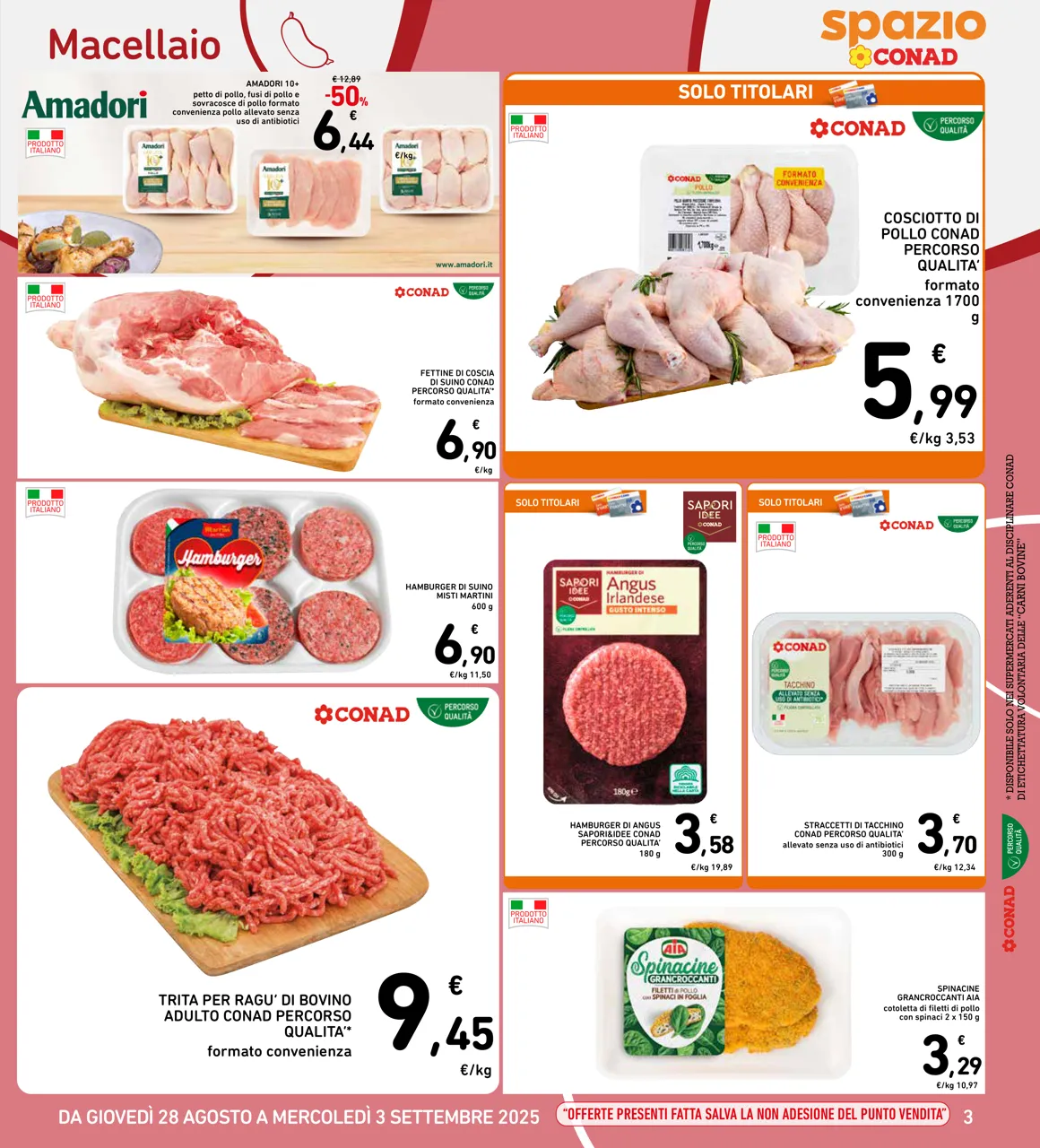 Pagina 3
