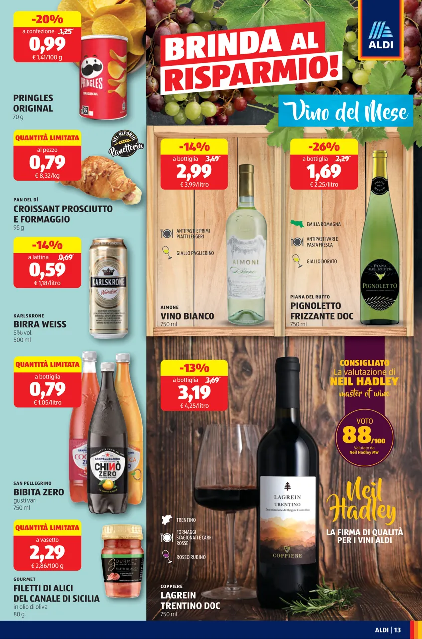 Pagina 13