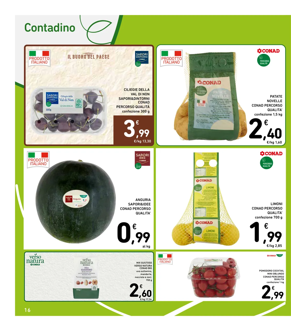 Pagina 16