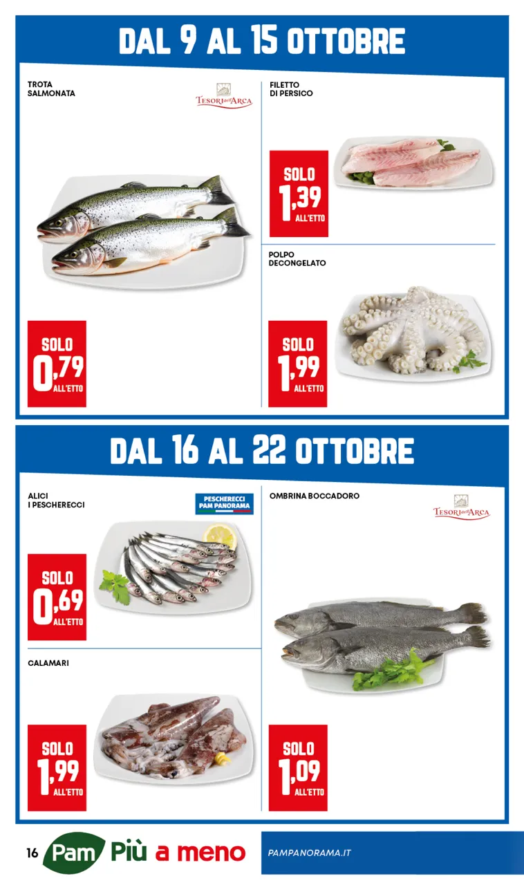 Pagina 16