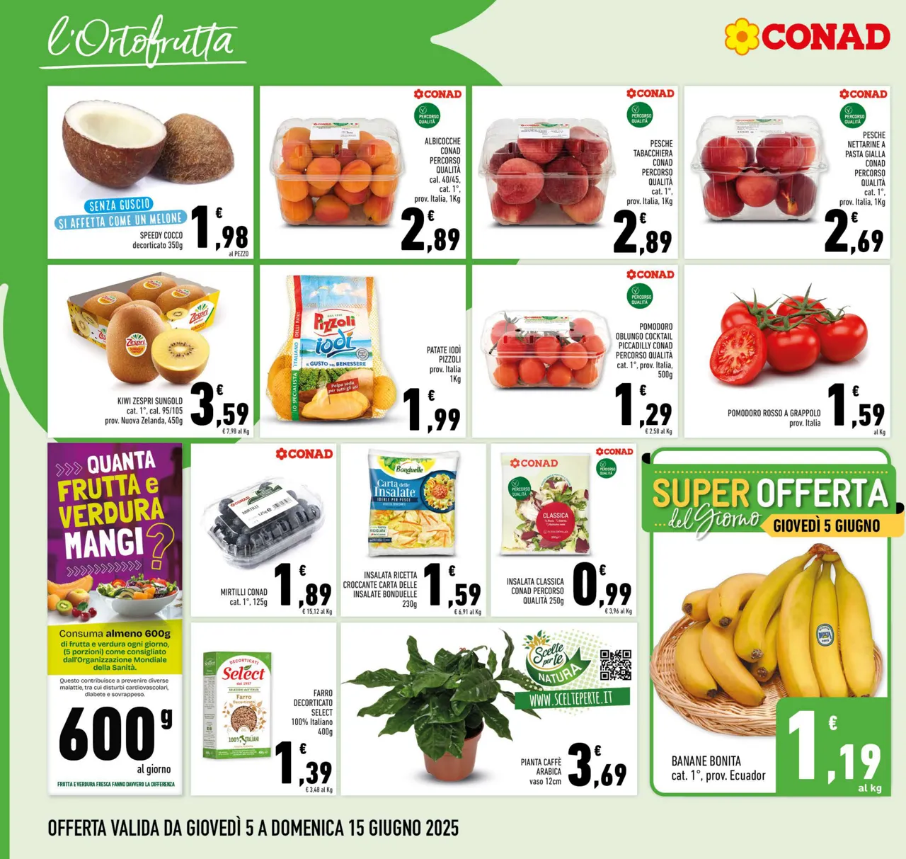 Pagina 6
