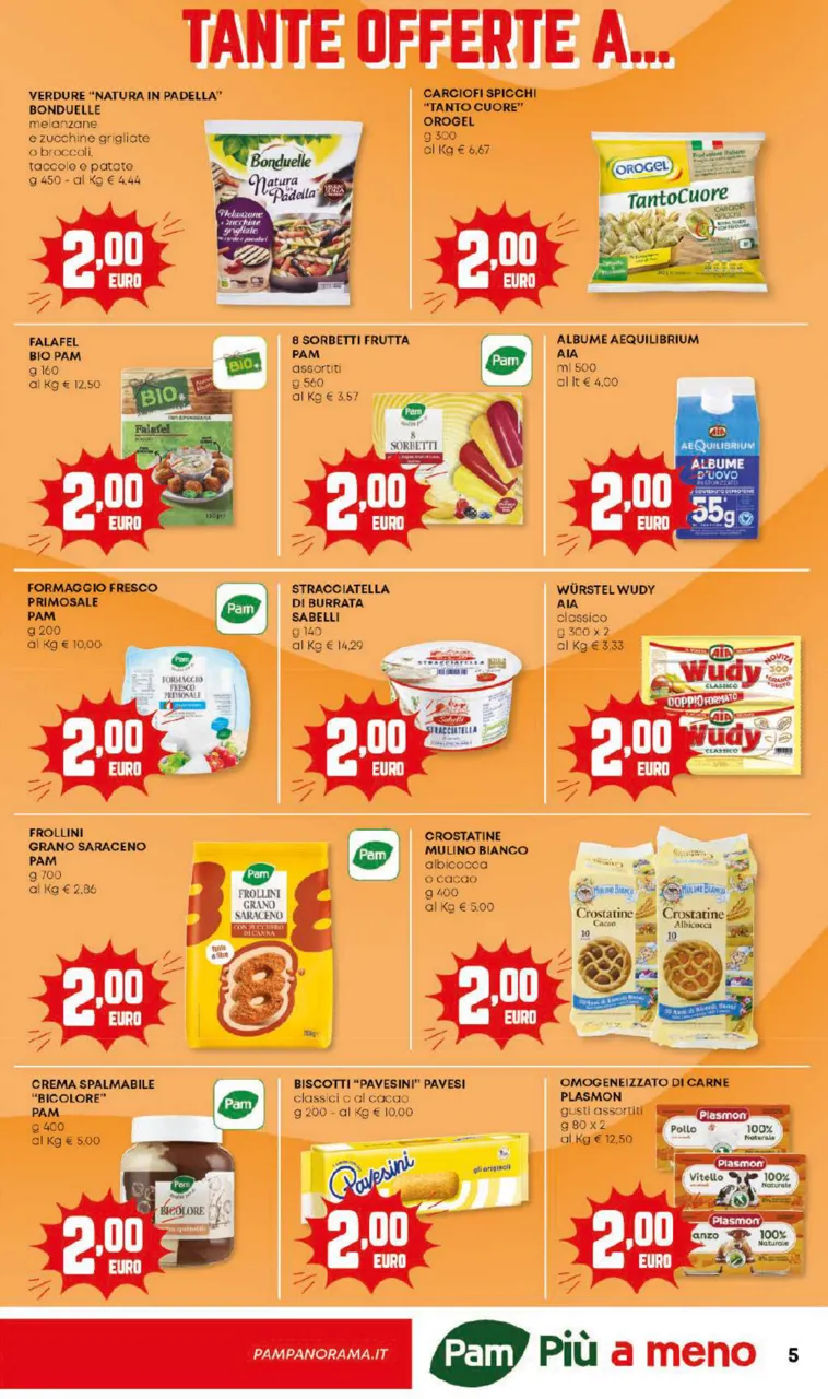 Pagina 5