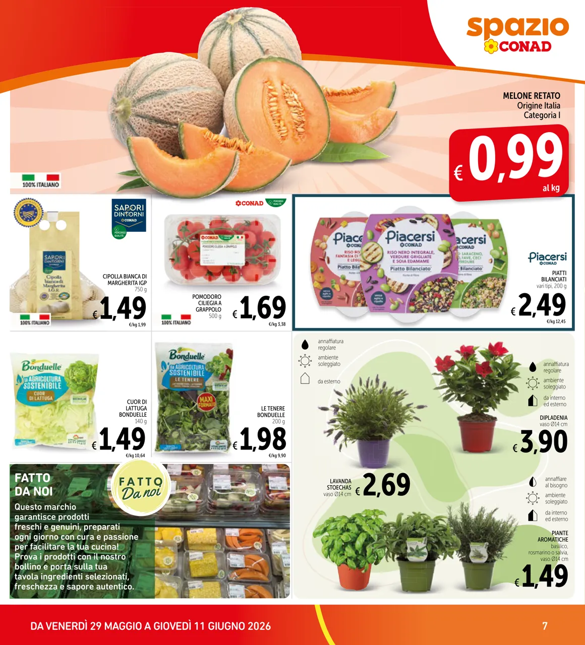 Pagina 7