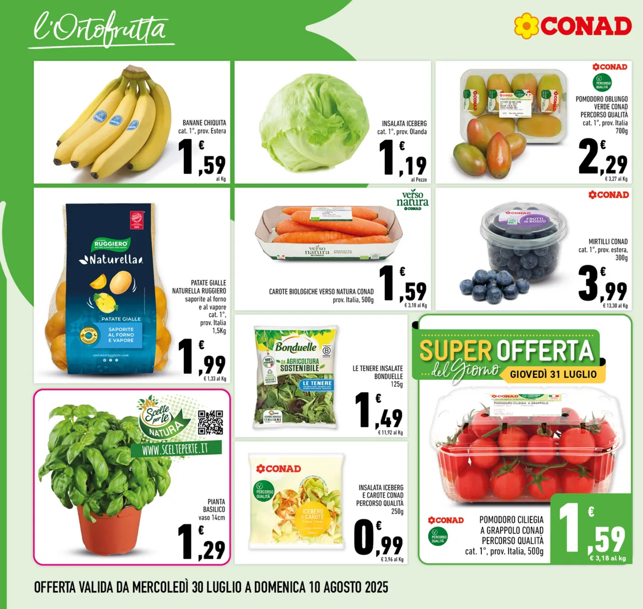 Pagina 6