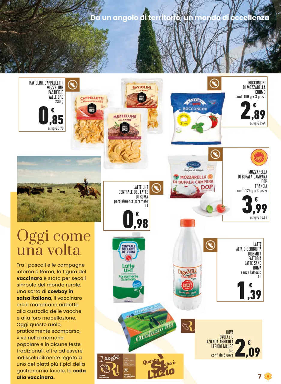 Pagina 7