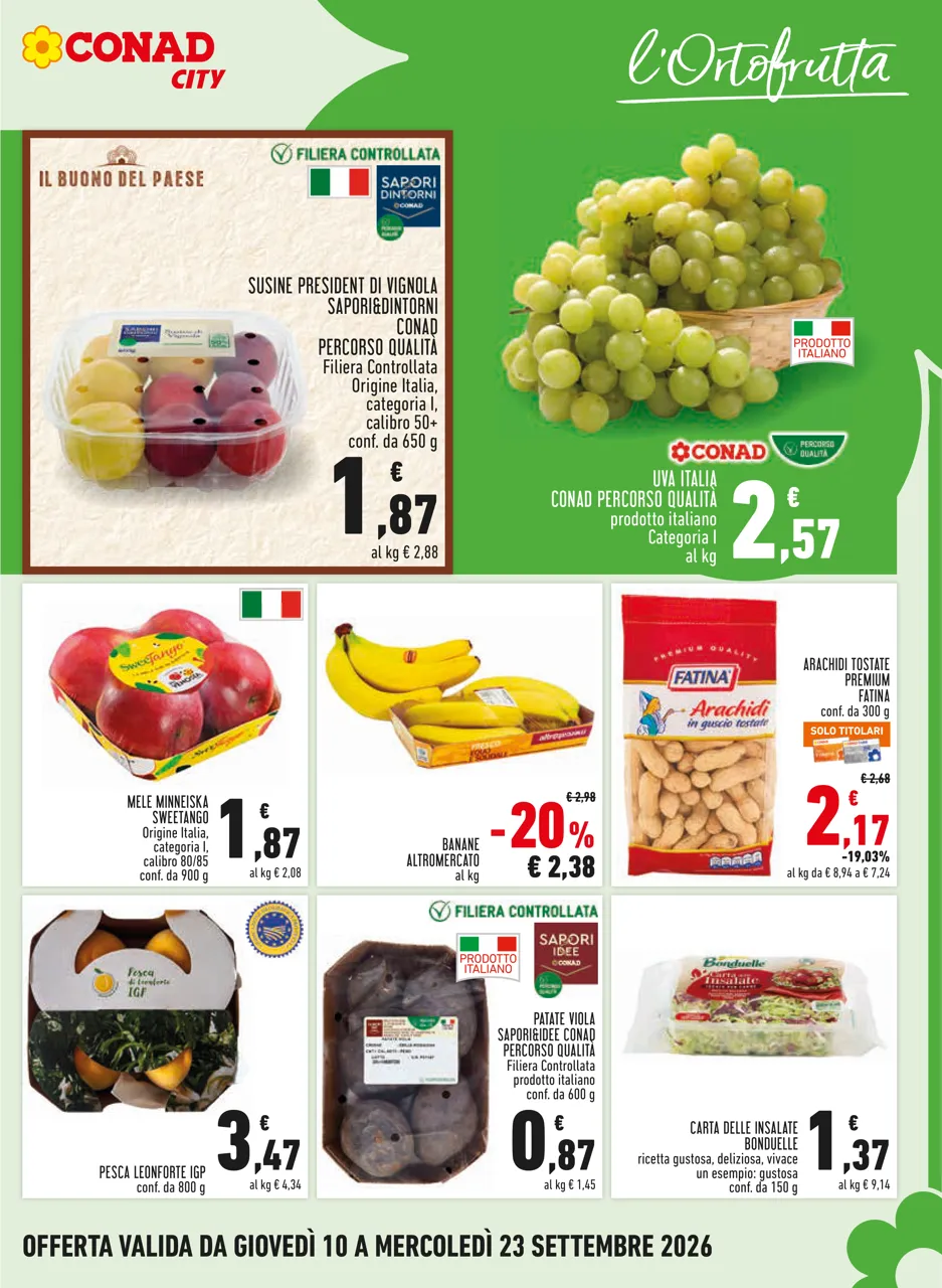 Pagina 5