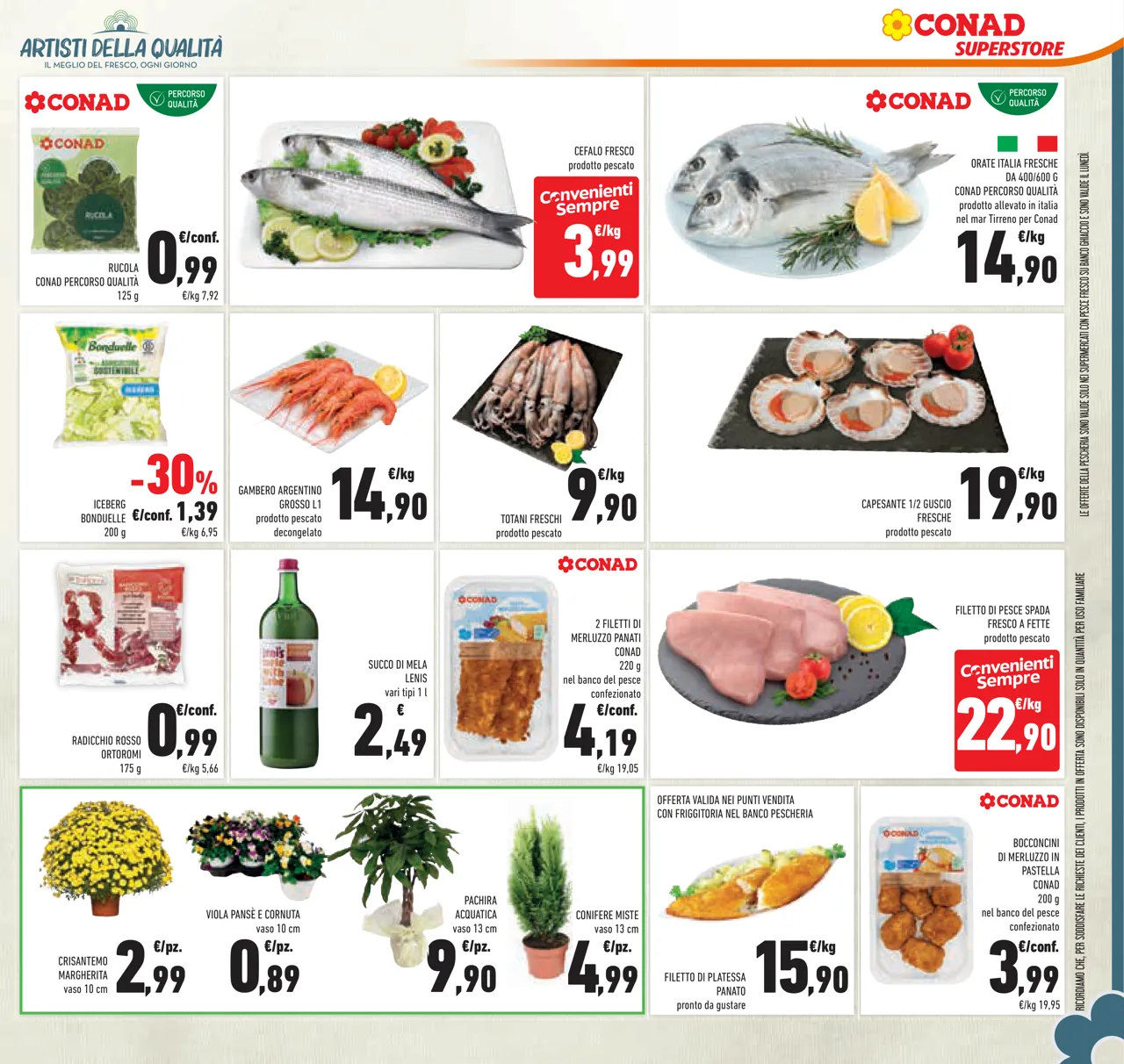 Pagina 33