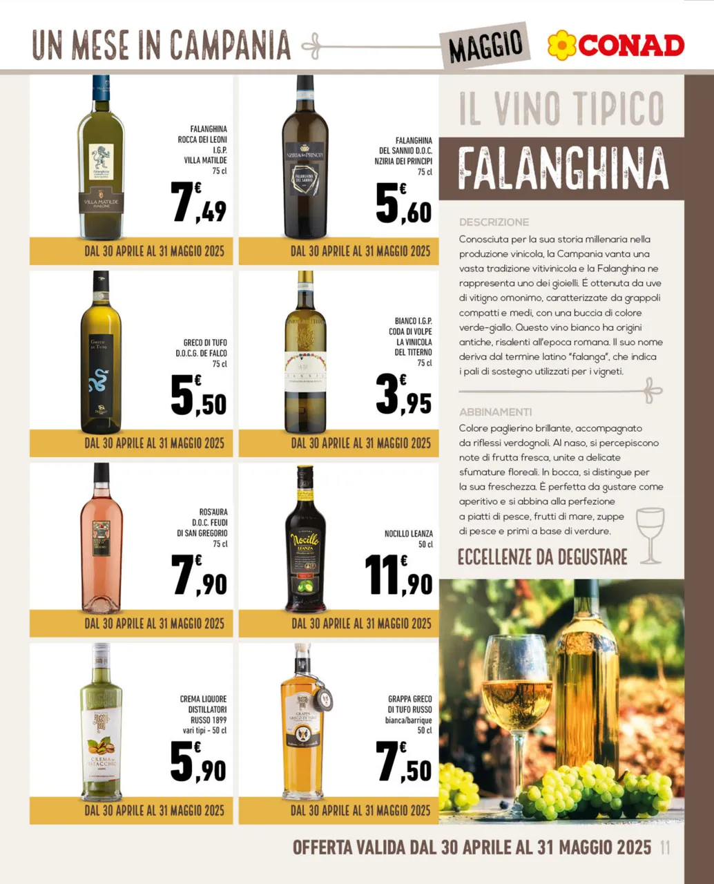 Pagina 11