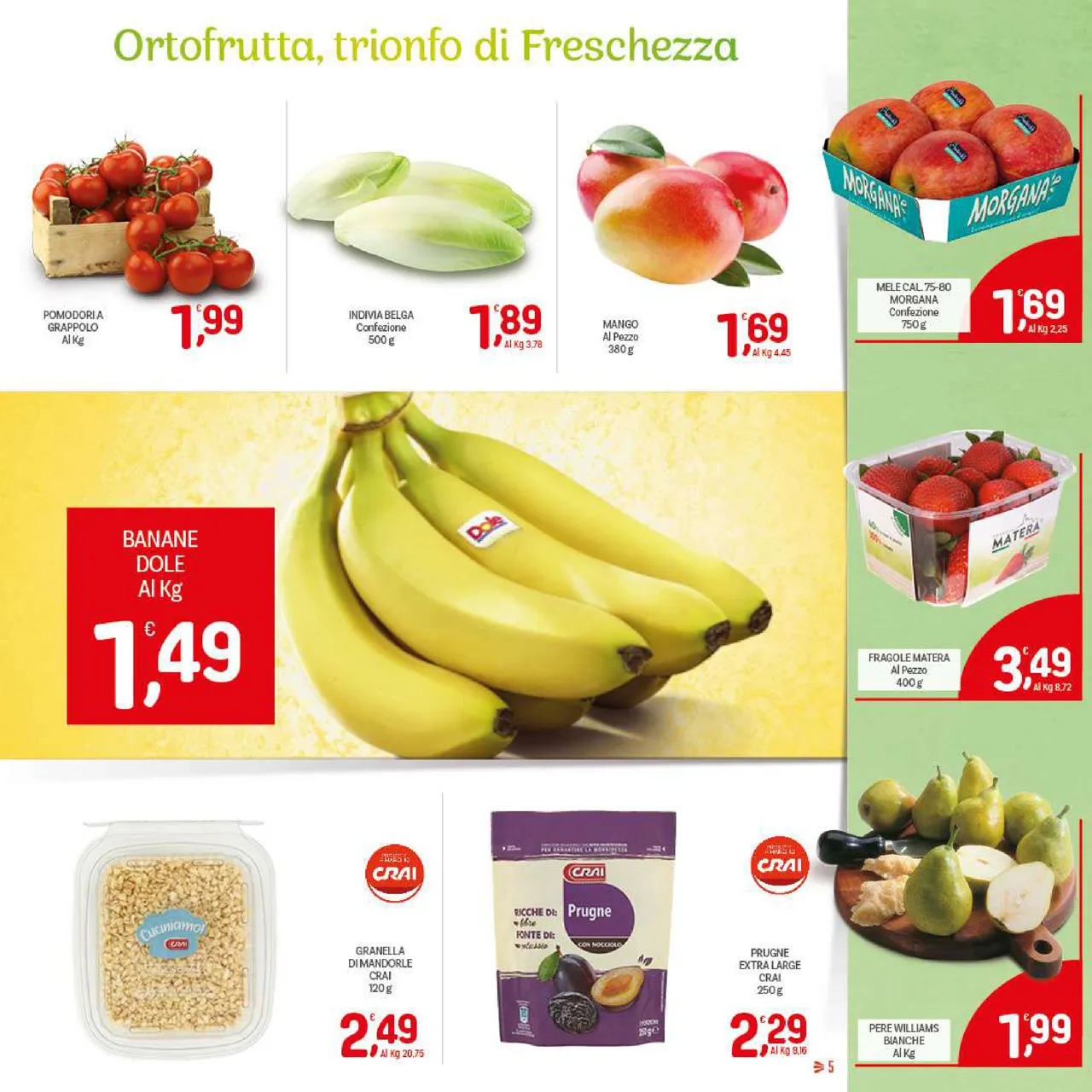 Pagina 5
