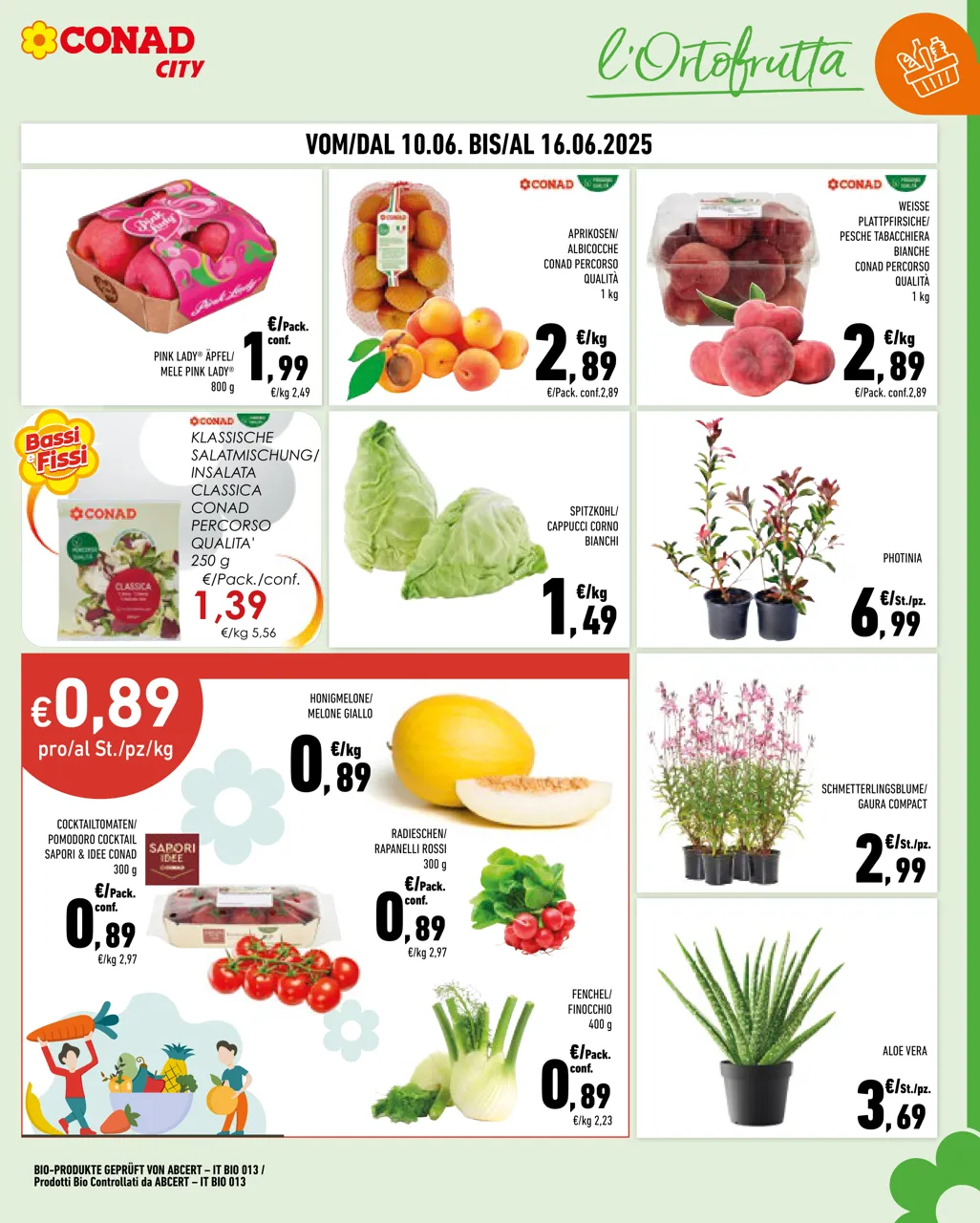 Pagina 3