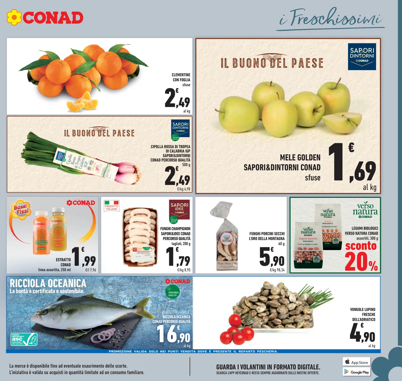 Pagina 11