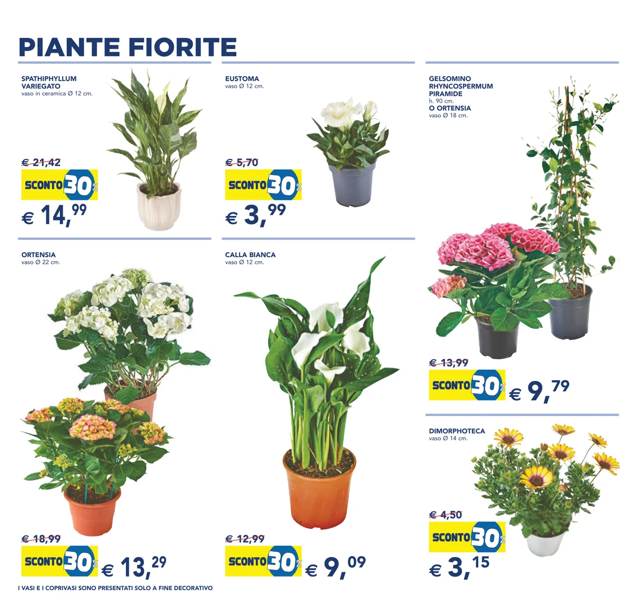 Pagina 6