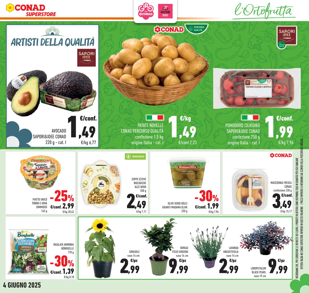 Pagina 7