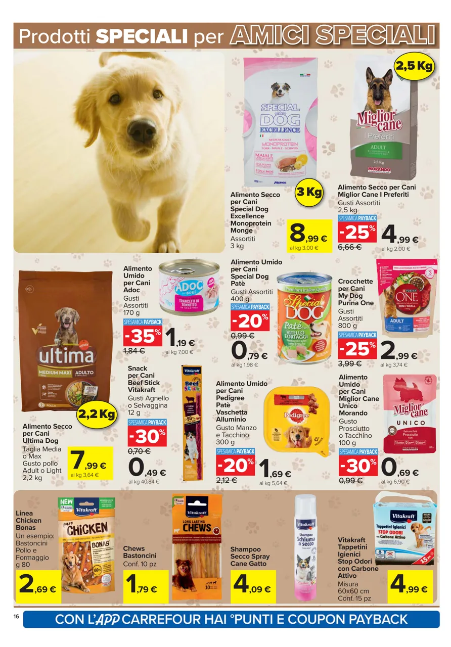 Pagina 16