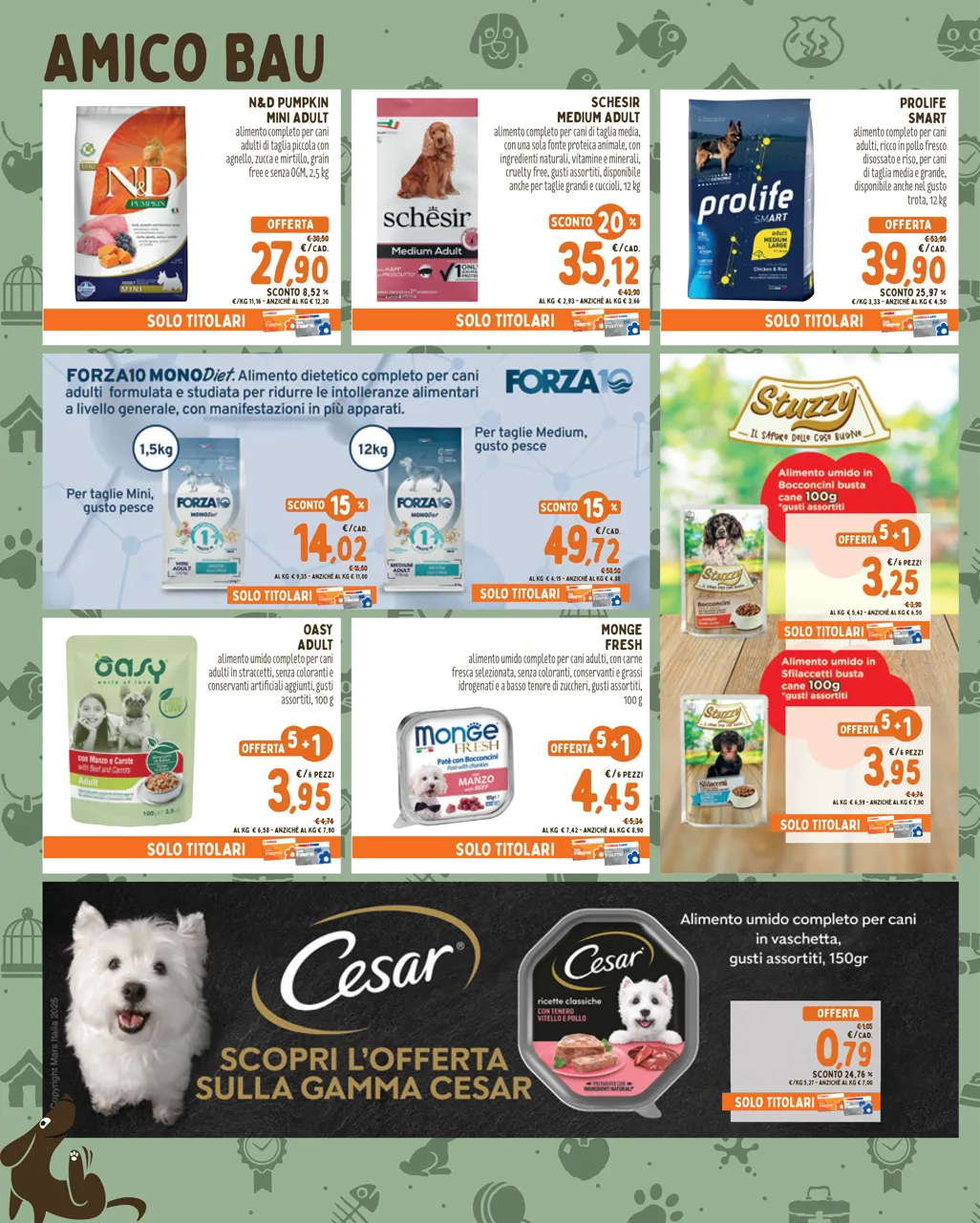 Pagina 2