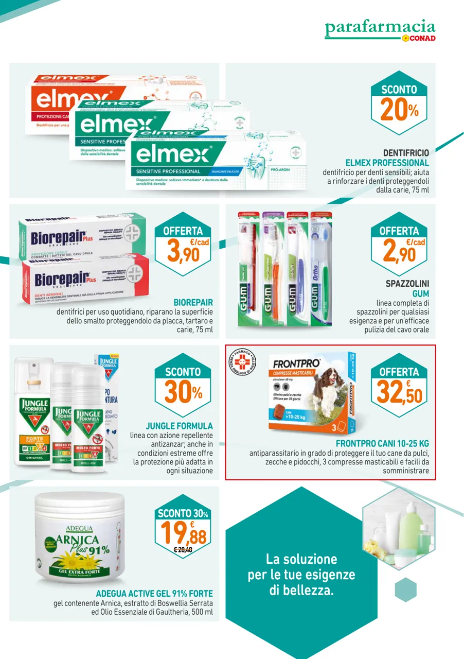 Pagina 7