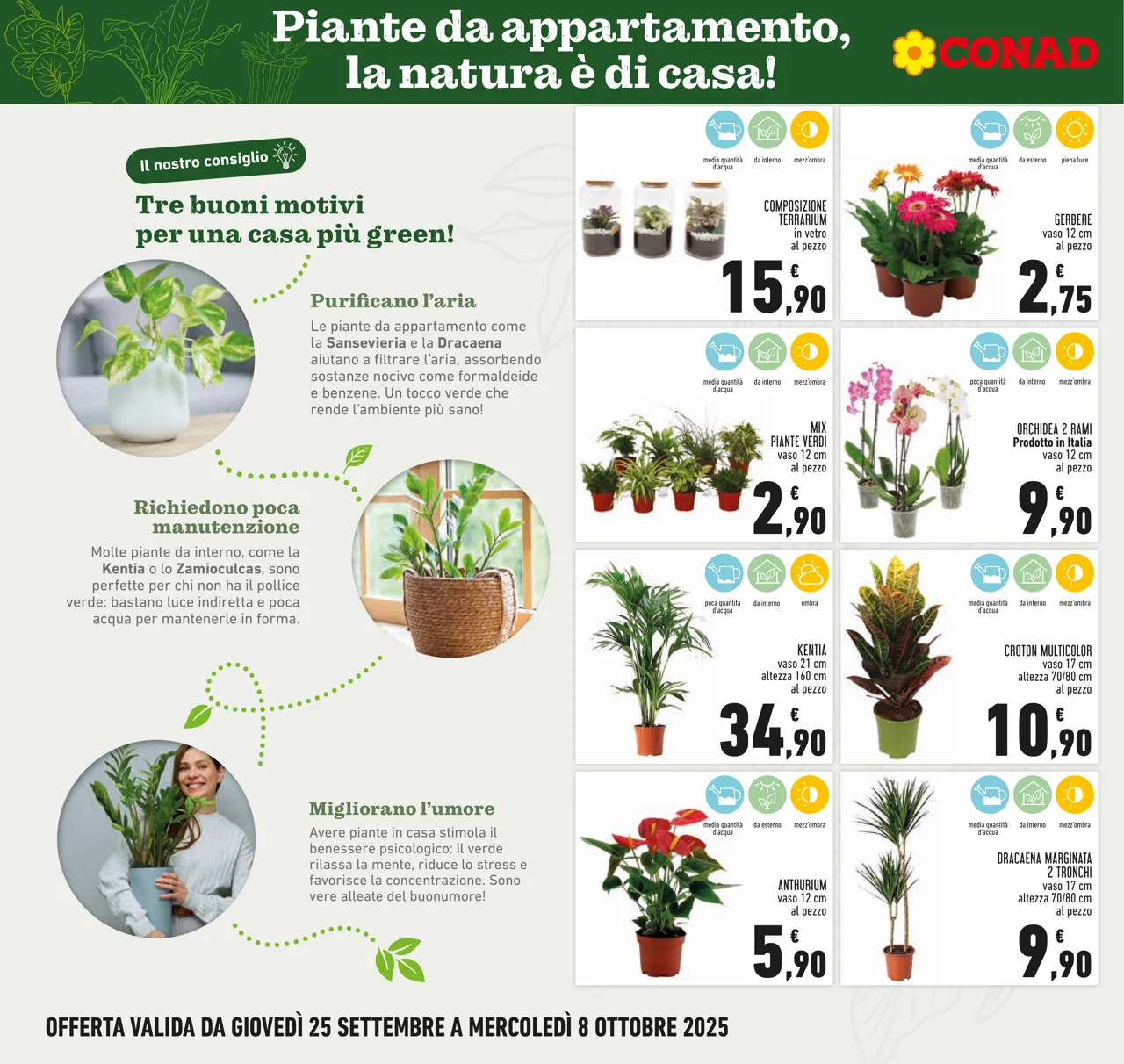 Pagina 6