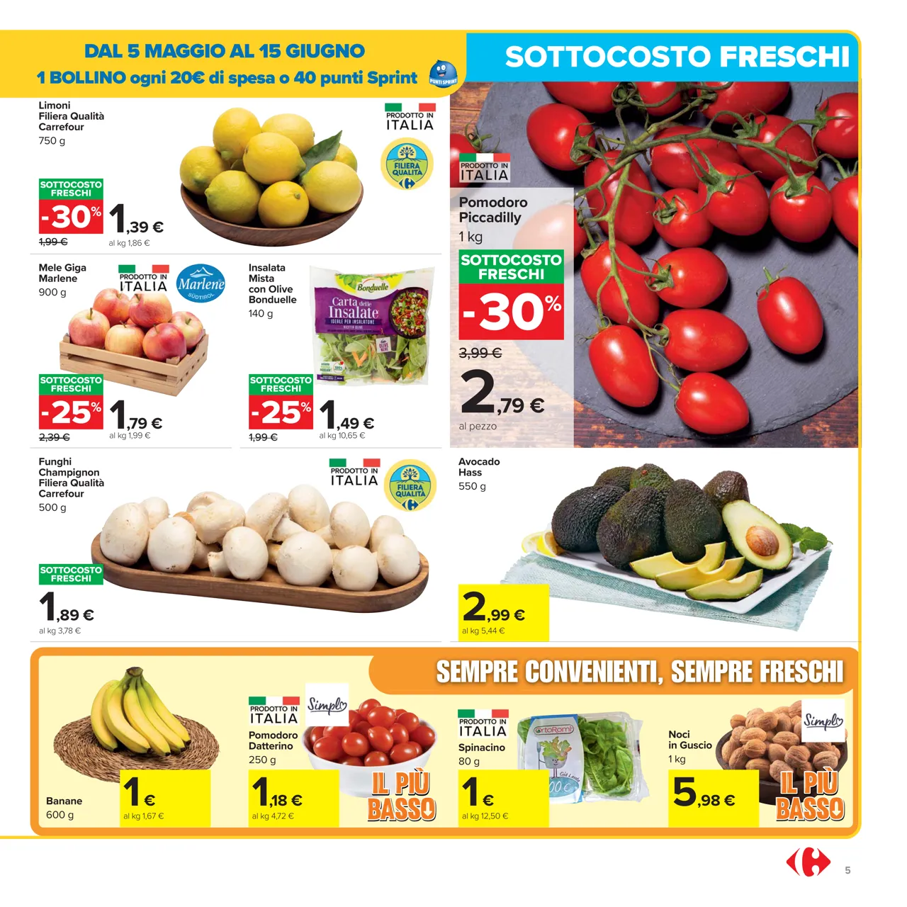 Pagina 5