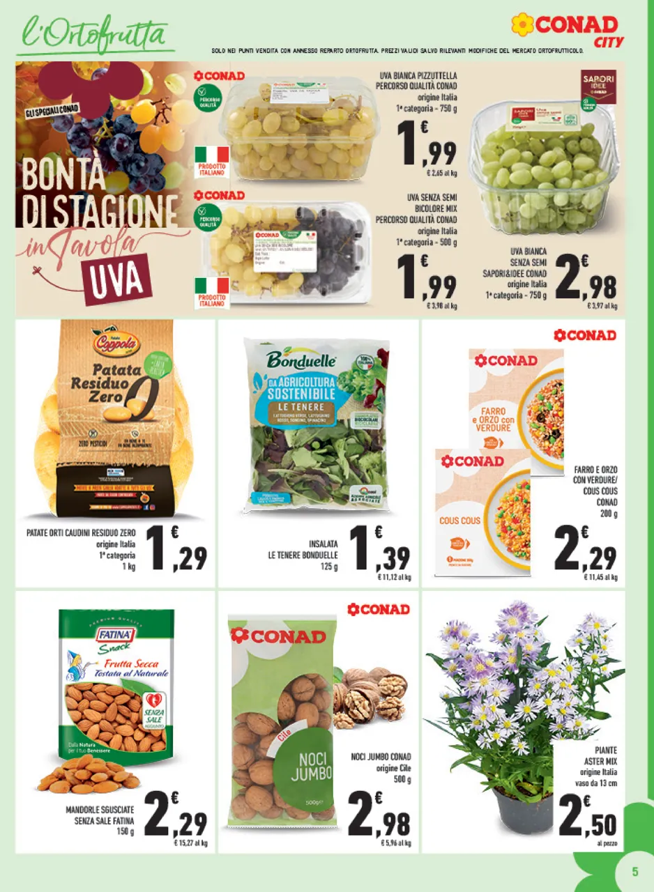 Pagina 5