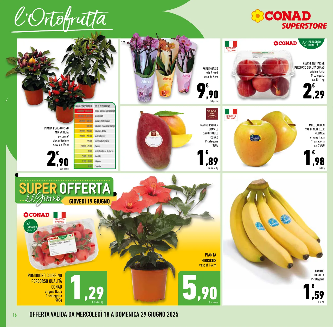 Pagina 16