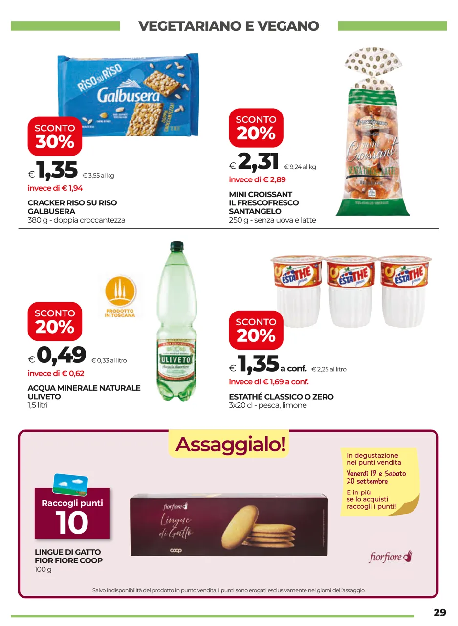 Pagina 29