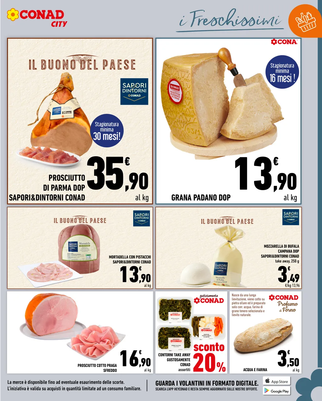 Pagina 13