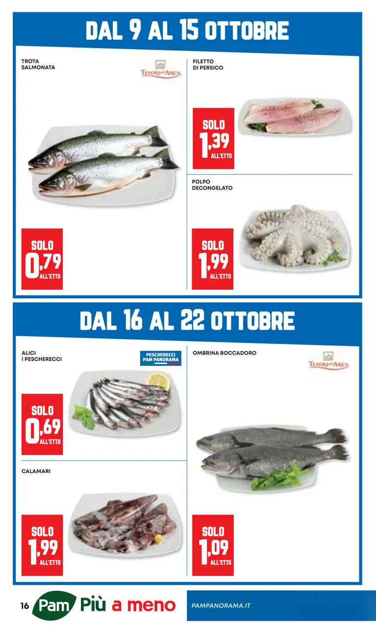 Pagina 16