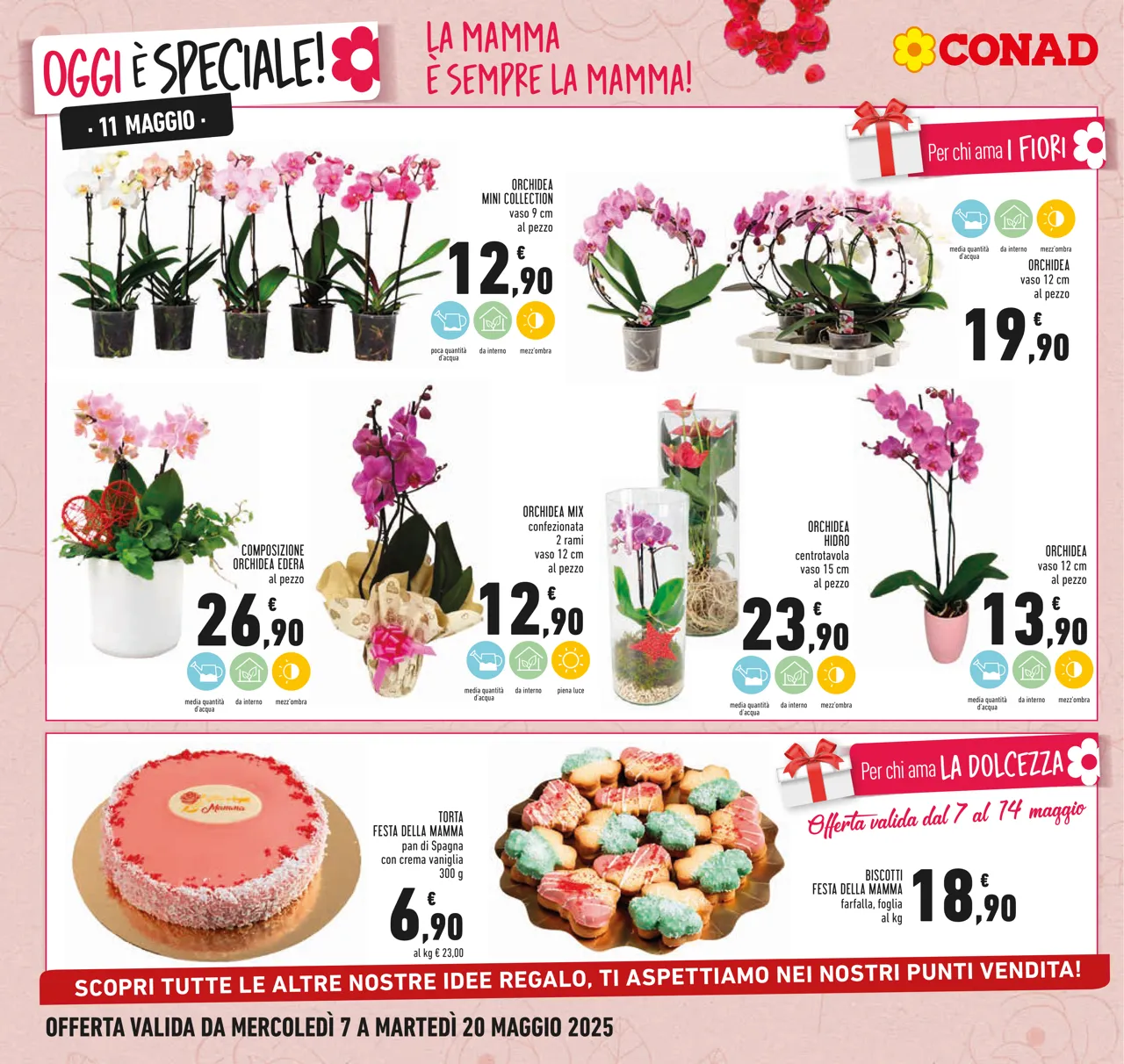 Pagina 8