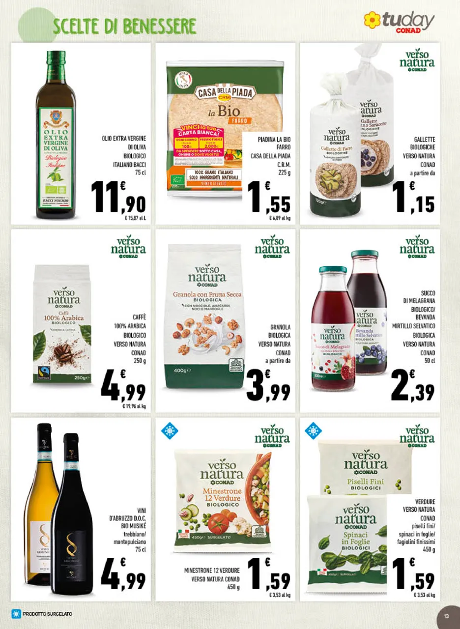 Pagina 13
