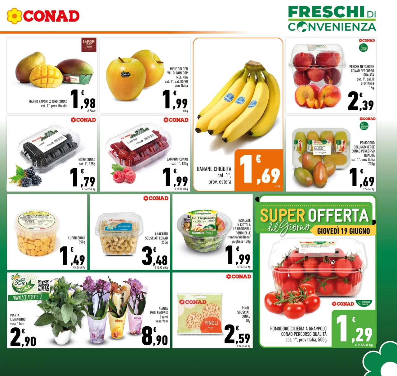 Pagina 5