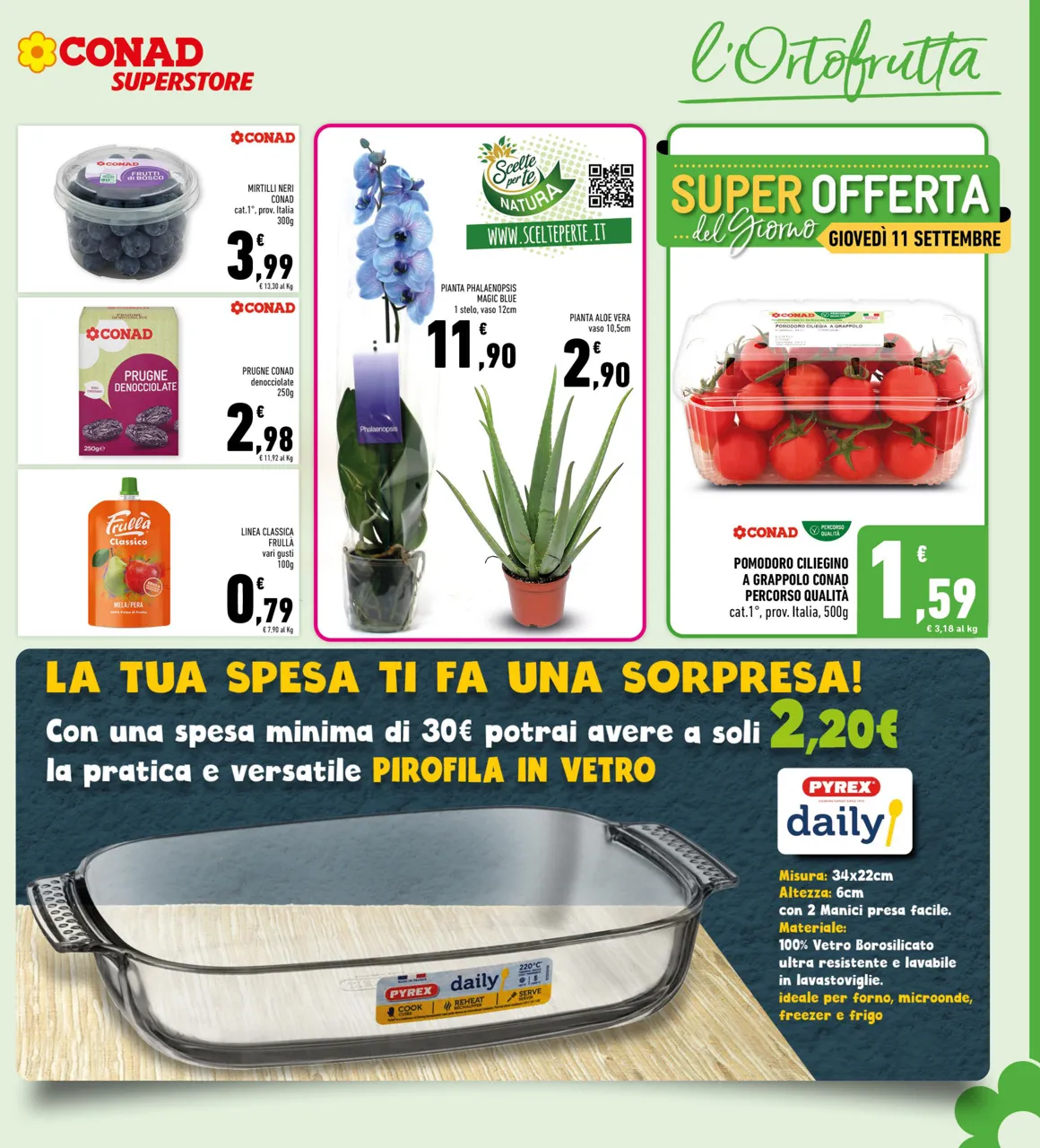 Pagina 5