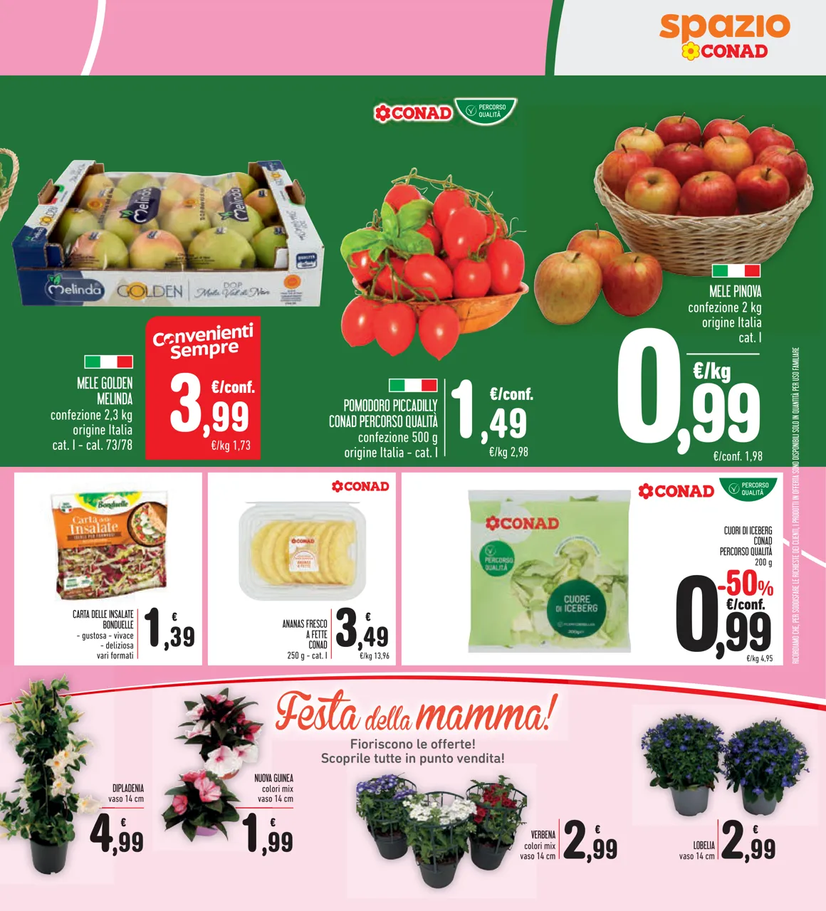 Pagina 29