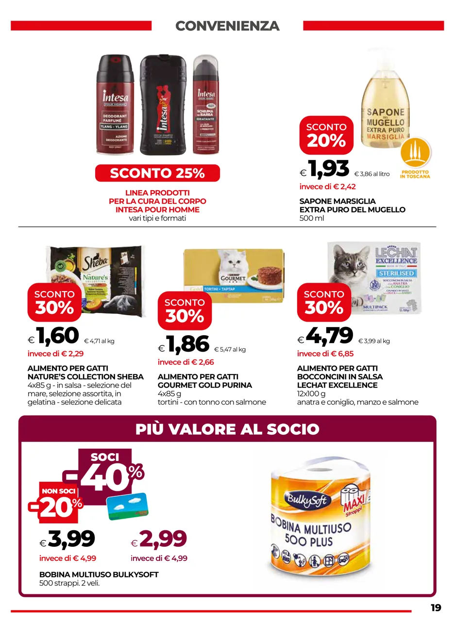 Pagina 19