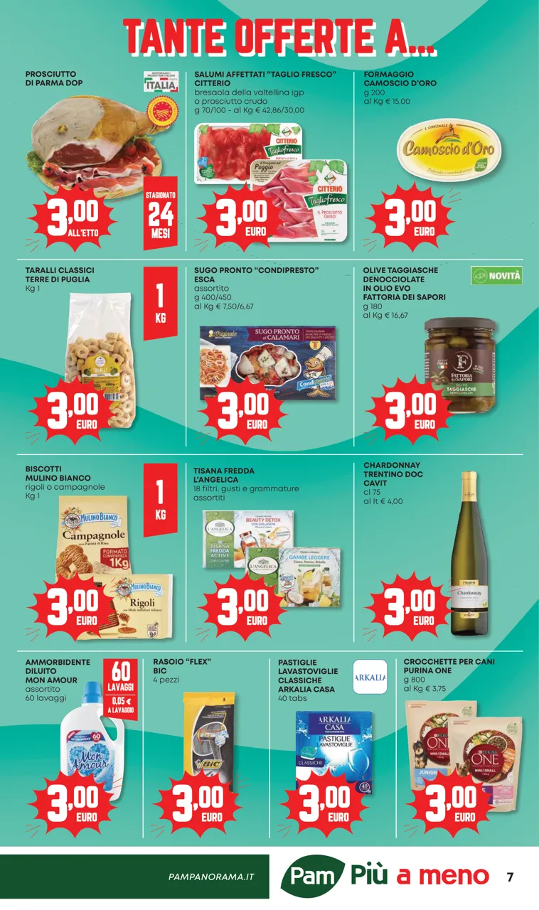Pagina 7