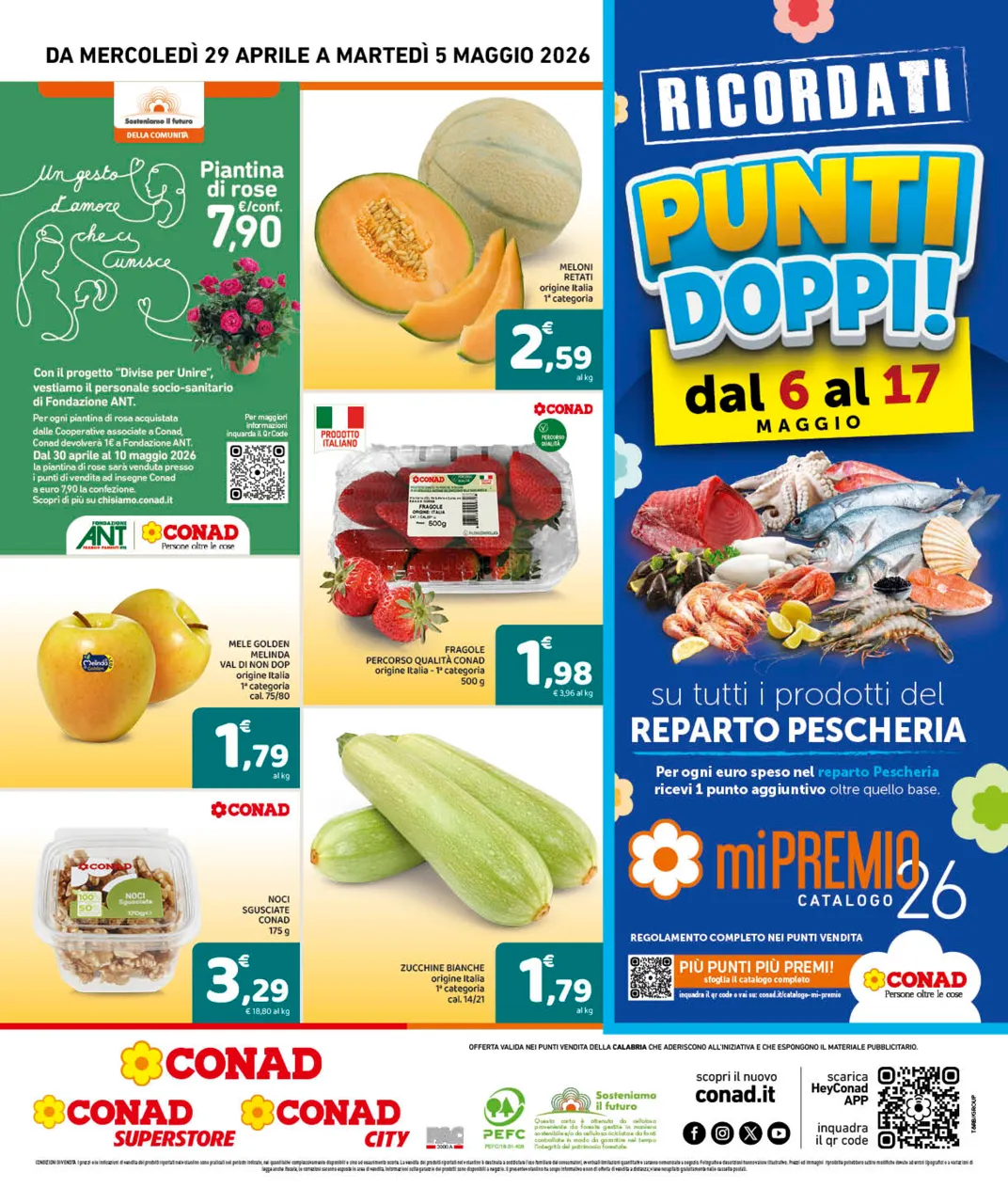 Pagina 8
