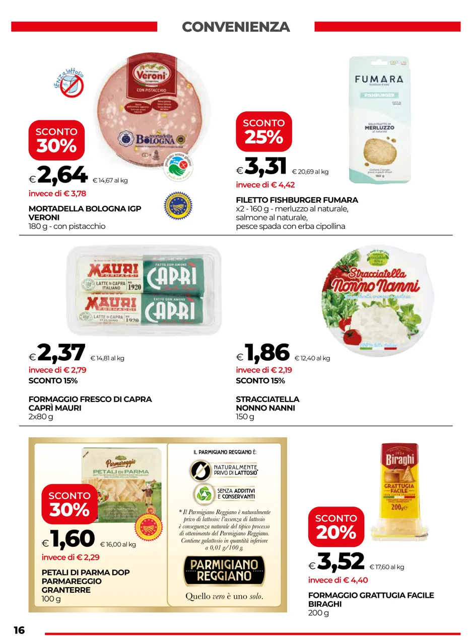 Pagina 16